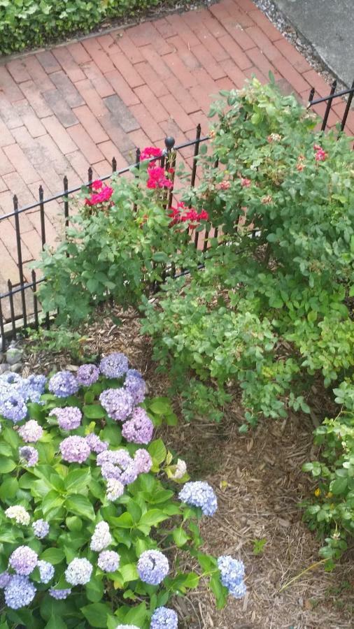 Barclay Cottage Bed And Breakfast Virginia Beach Exteriör bild
